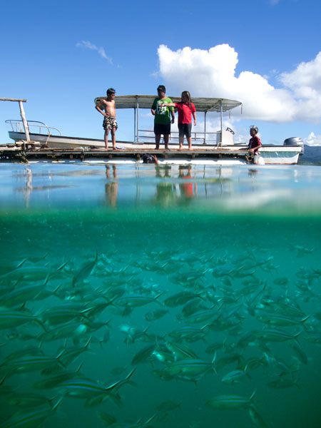 Local kids swim near the Nahlap Island dock, Pohnpei, Federated States of Micronesia (FSM) Local kids swim near the Nahlap Island dock, Pohnpei, Federated States of Micronesia (FSM)