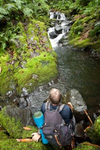 Hikers in the Nankepinmerepw Valley, Pohnpei, Federated States of Micronesia (FSM)