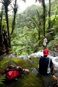 Above Nankepinmerepw Waterfall, Pohnpei, Federated States of Micronesia (FSM)