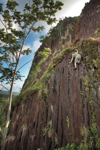 A climber scales the first pitch of Pwisehn Malek, Pohnpei, Federated States of Micronesia (FSM)