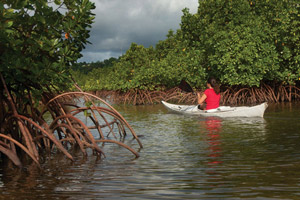 Paddling the Labyrinth, Sokehs Island, Pohnpei, Federated States of Micronesia (FSM)