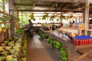 Simon's Market, Pohnpei, Federated States of Micronesia (FSM)