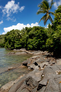 Salong Point, Temwen Island, Pohnpei, Federated States of Micronesia (FSM)