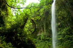 Upper Pahnsapw Waterfall, Pohnpei, Federated States of Micronesia (FSM)