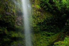 Pohnpei, Federated States of Micronesia (FSM)