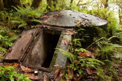 Japanese fire control bunker on Kupwuriso Mountain, U, Pohnpei, Micronesia