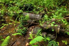 Japanese 15 cm naval gun wreckage on Lenger