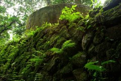 An old Japanese water tank atop Pohndolap on Sokehs Island, Pohnpei, FSM.