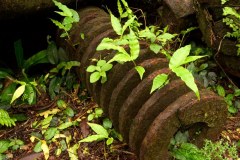 Rusted springs from Japanese WWII guns atop Pohndolap on Sokehs Island, Pohnpei, FSM.