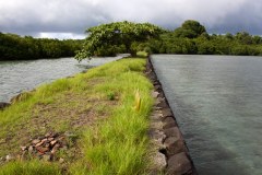 Japanese wharf on the south side of Sapwtik Island