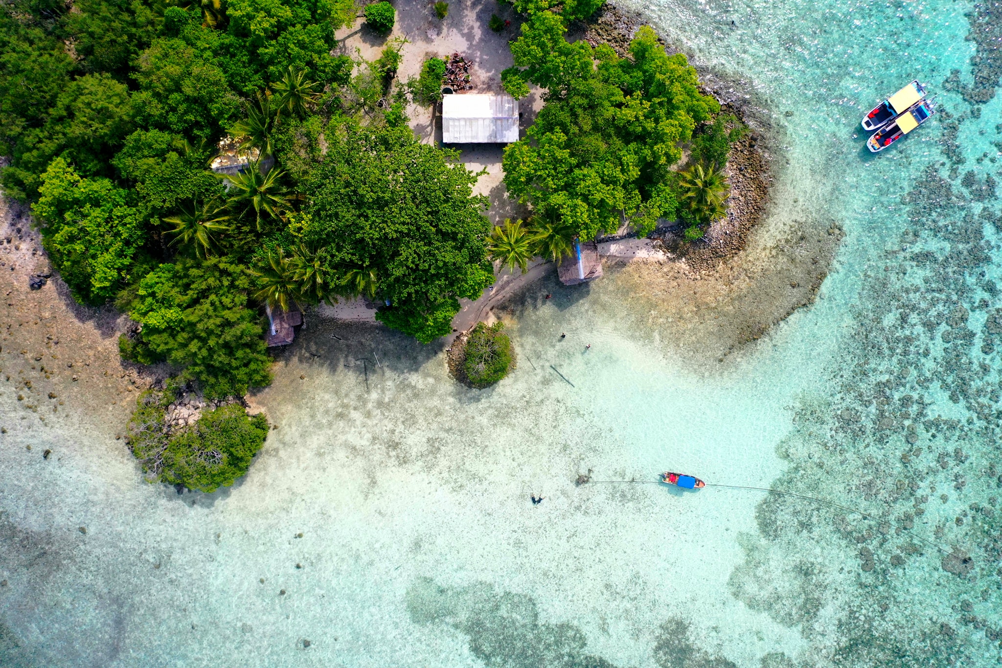 Black Coral Island