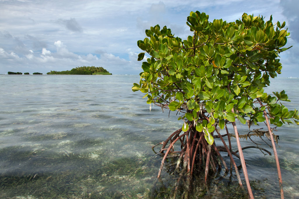 Dekehmwahu Island