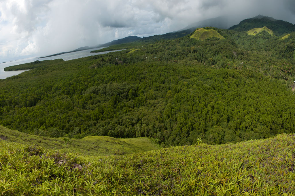 Dolen Uh & Other Treeless Hills