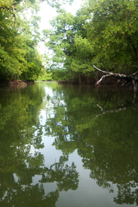 Dauen Moahk, Temwen Island, Pohnpei, Federated States of Micronesia (FSM)