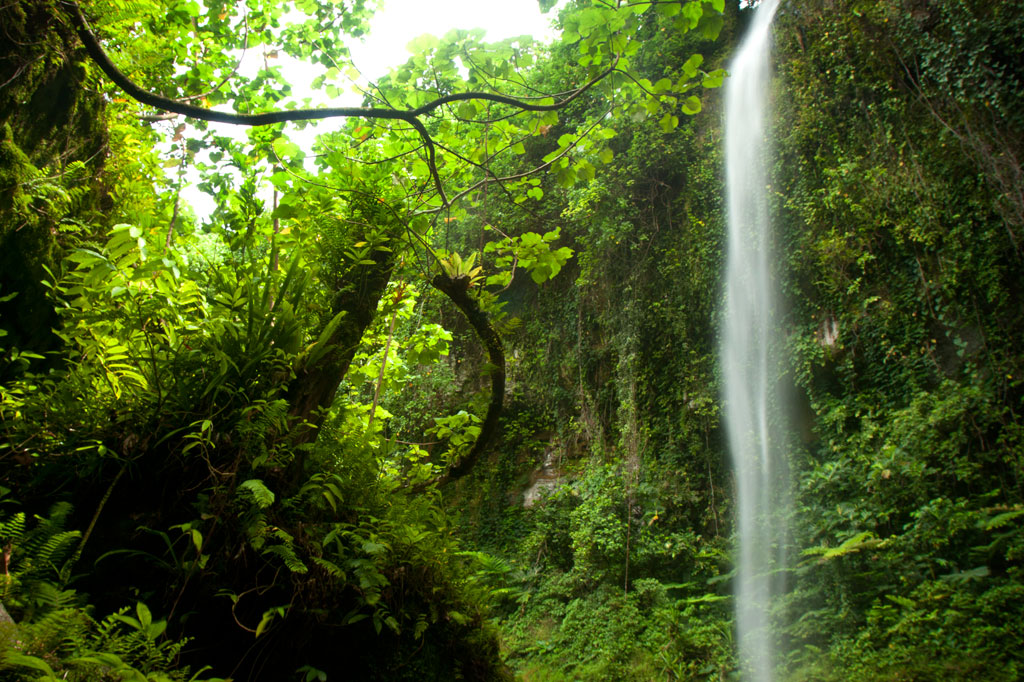 Pahnsapw & Nankep Waterfalls