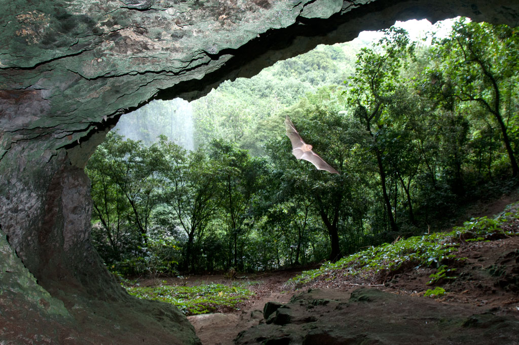 Pahntakai Cave & Waterfall