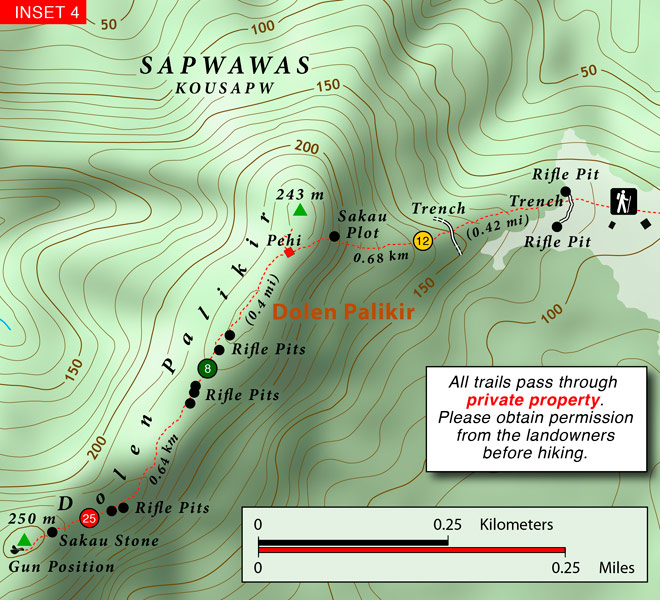 Mainland Sokehs Inset Map 4 - Dolen Palikir